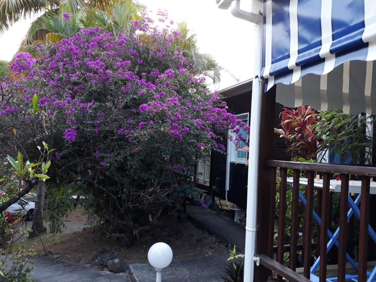 With 2 Bedrooms In With Furnished Garden And Wifi 100 M From The Holiday home