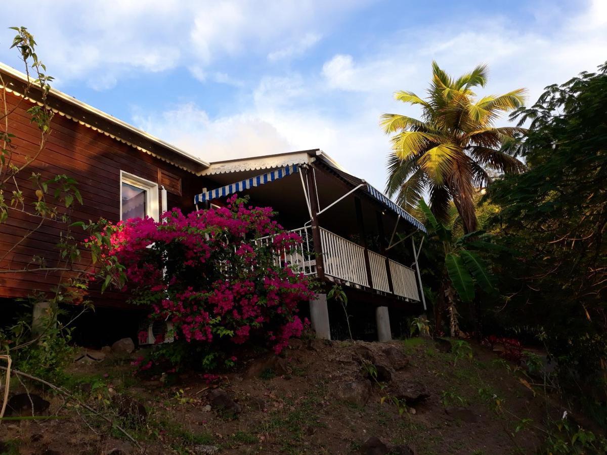 With 2 Bedrooms In With Furnished Garden And Wifi 100 M From The Holiday home